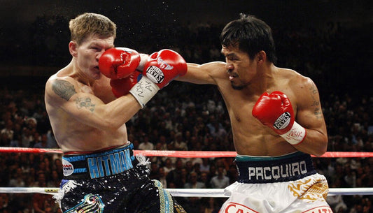 Cleto Reyes Boxing Gloves: The Ultimate Guide to the World’s Best Puncher’s Glove - The Fight Club