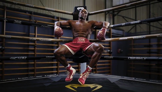 MMA Fight Store: The Ultimate Guide to Professional Combat Gear in 2026
