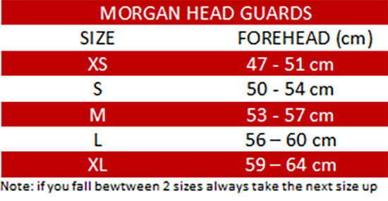 Morgan V2 Full Combat Style Head Guard - The Fight Club