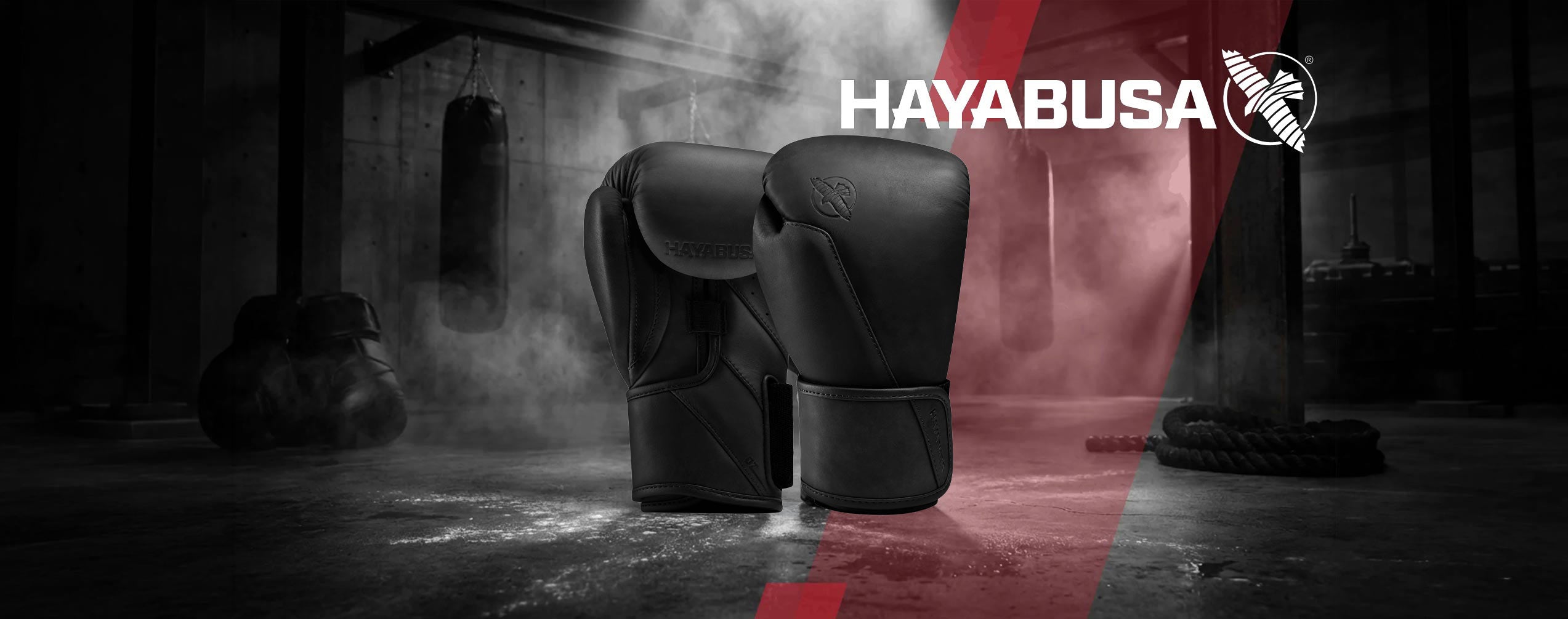 Hayabusa - The Fight Club