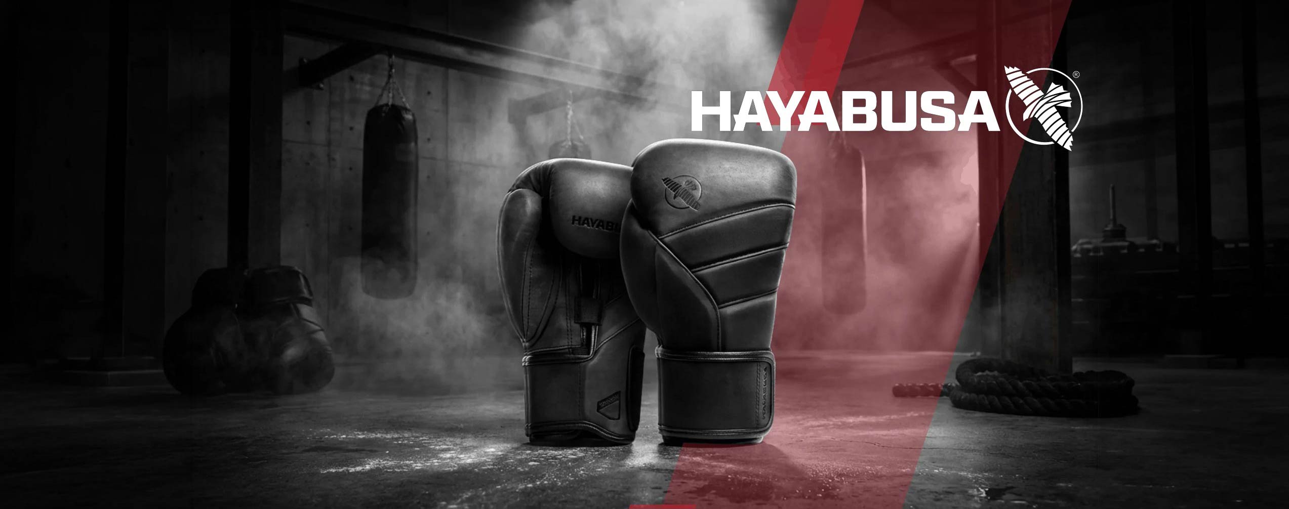 Hayabusa - The Fight Club