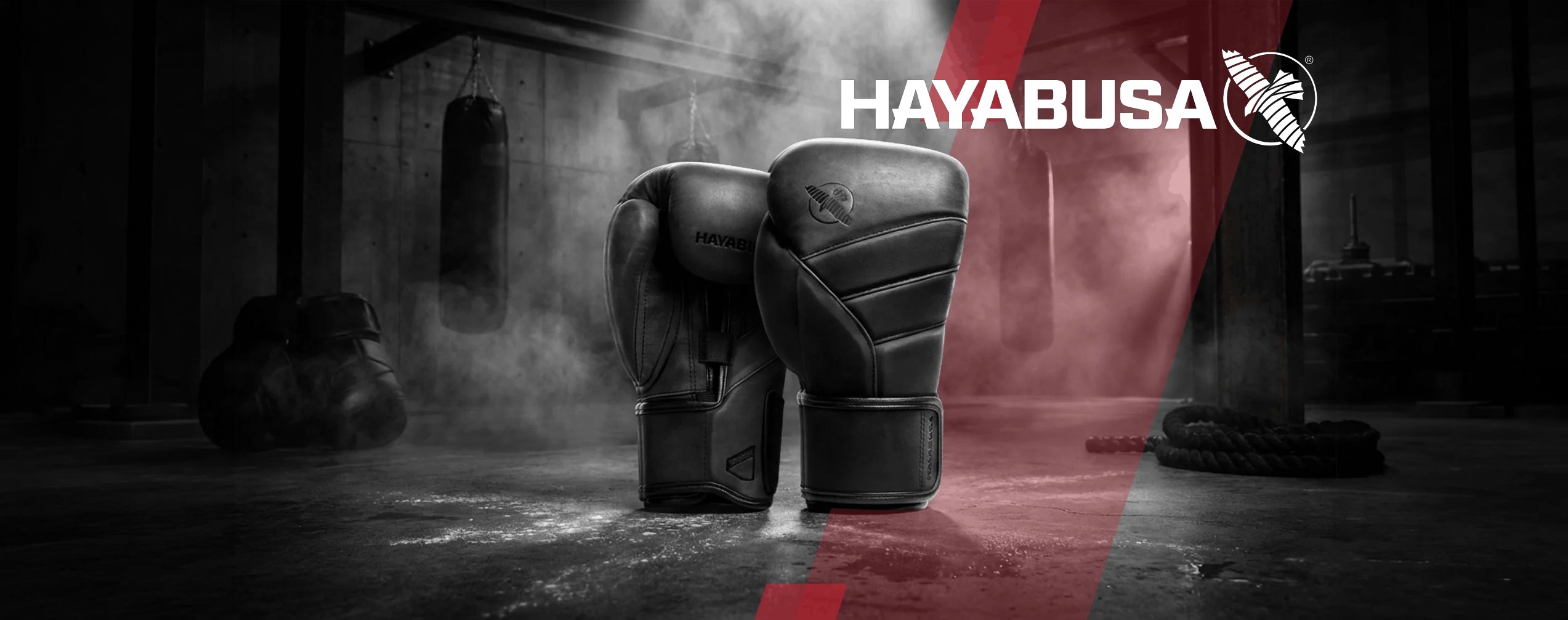 Hayabusa - The Fight Club
