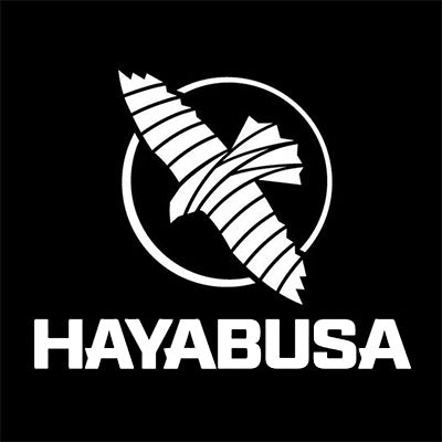 Hayabusa