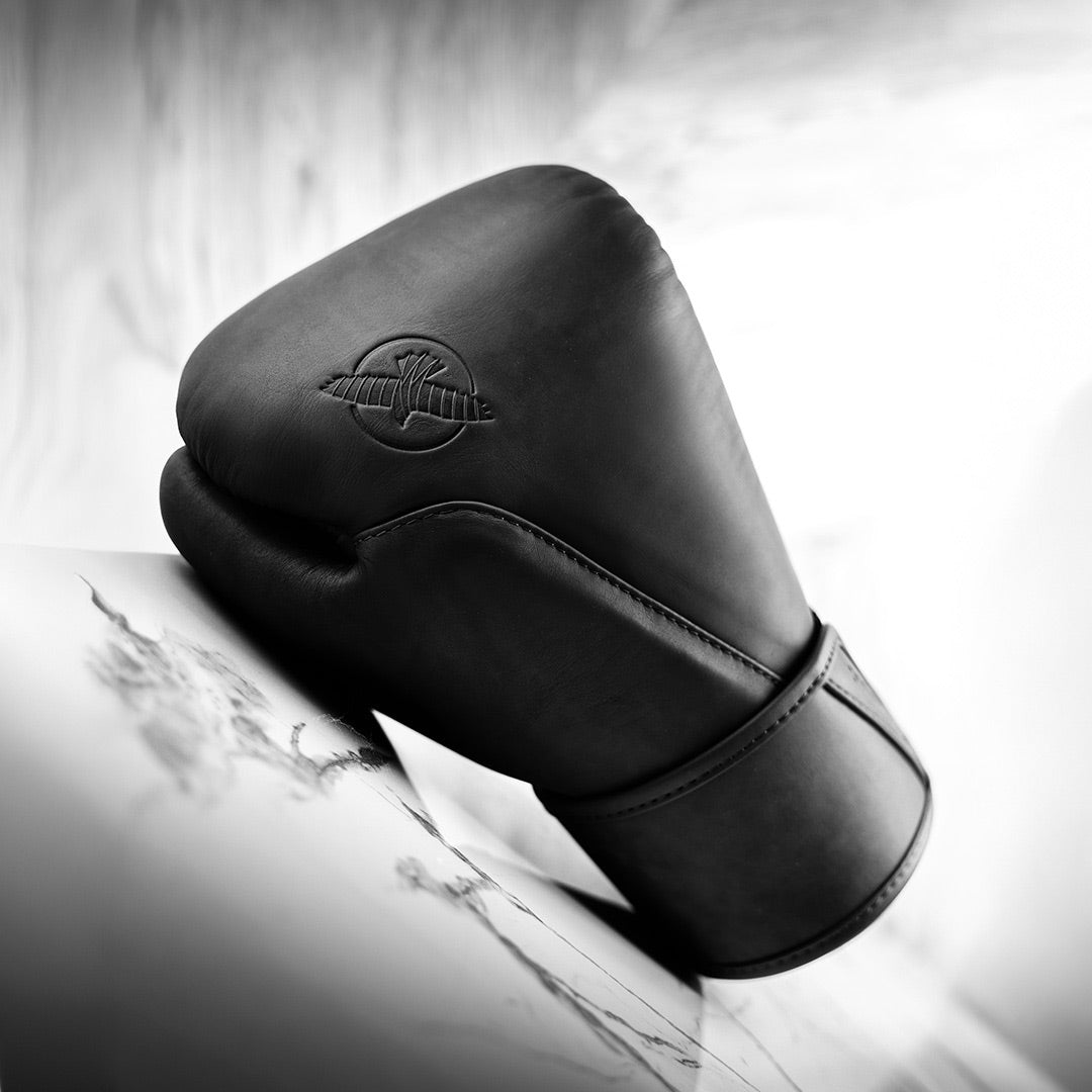Hayabusa T360 Leather Boxing Gloves Black - The Fight Club