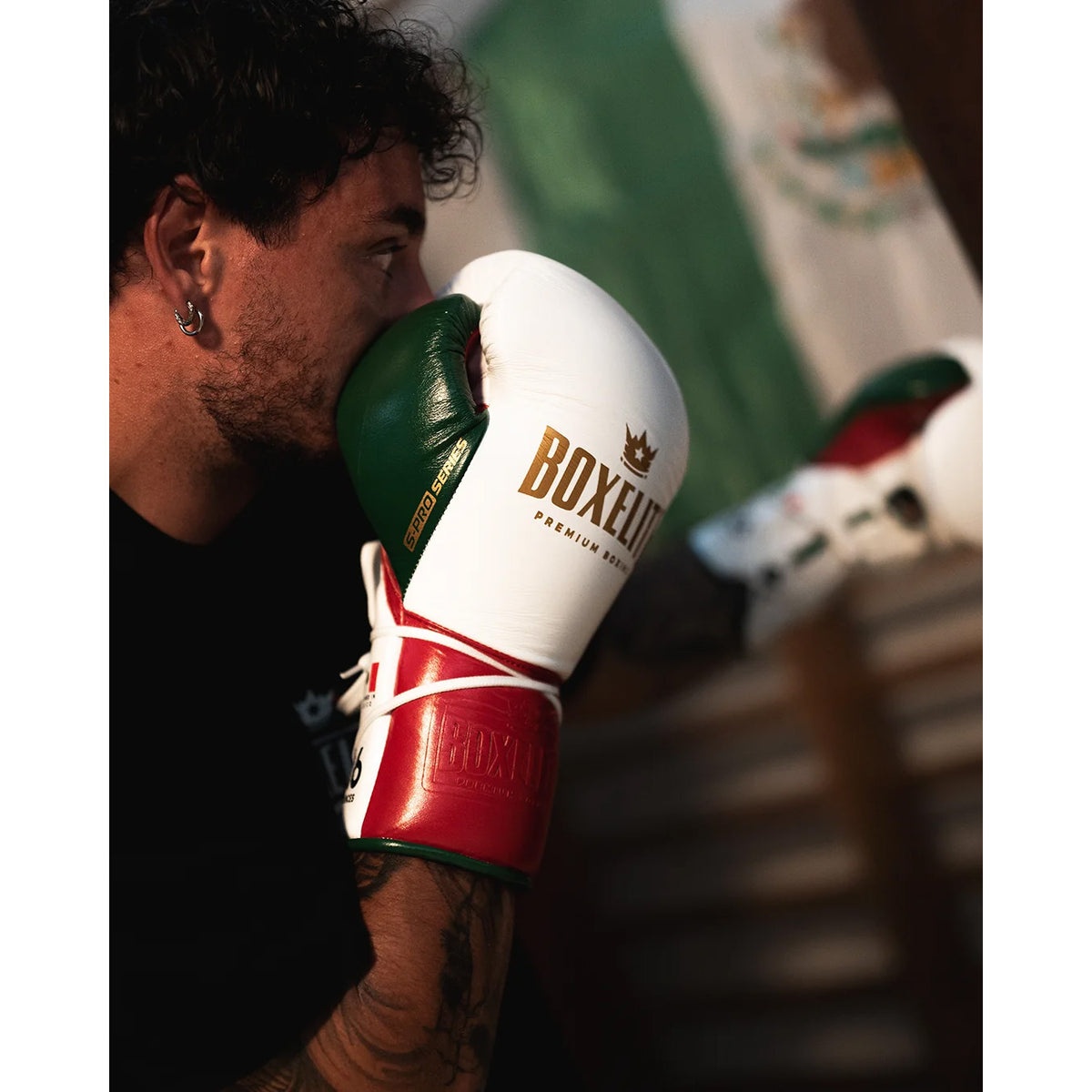 BoxElite S-Pro Series Boxing Gloves MX Tri-Color Laces - The Fight Club