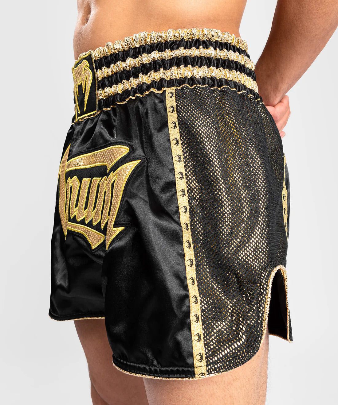 Venum Absolute 2.0 Muay Thai Shorts - Black/Gold - The Fight Club