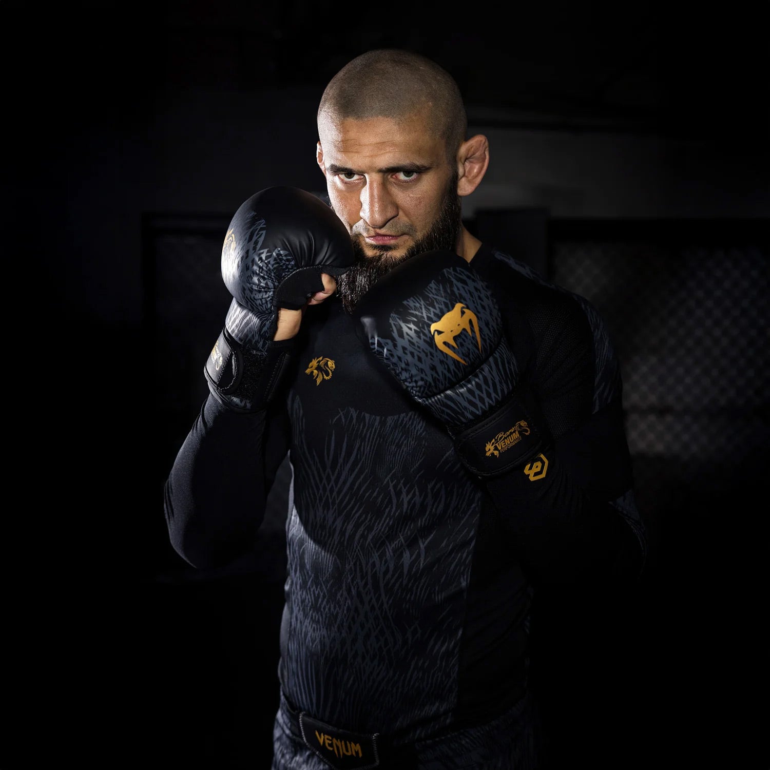 Venum x Chimaev Wild Borz MMA Sparring Gloves Black/Gold - The Fight Club