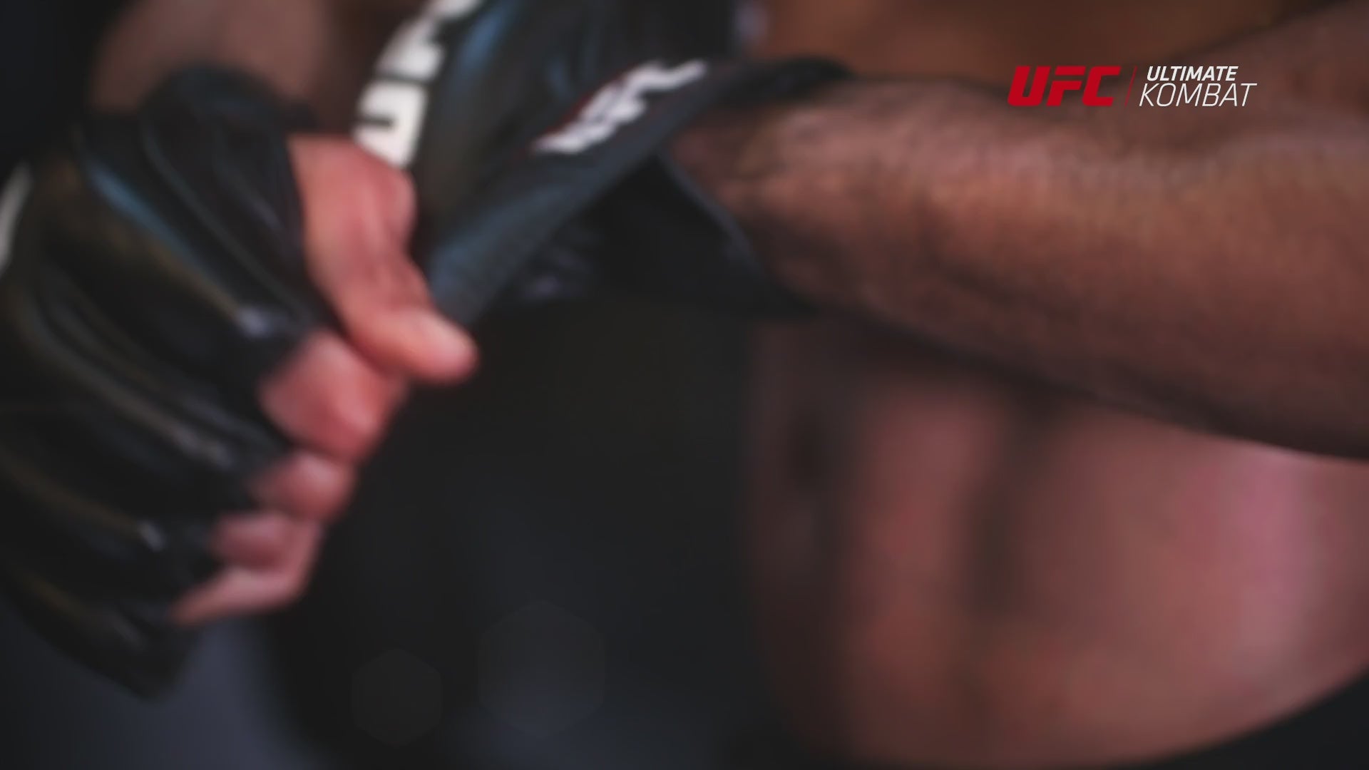 UFC Official Pro Competition Fight Gloves Men's – The Fight Club