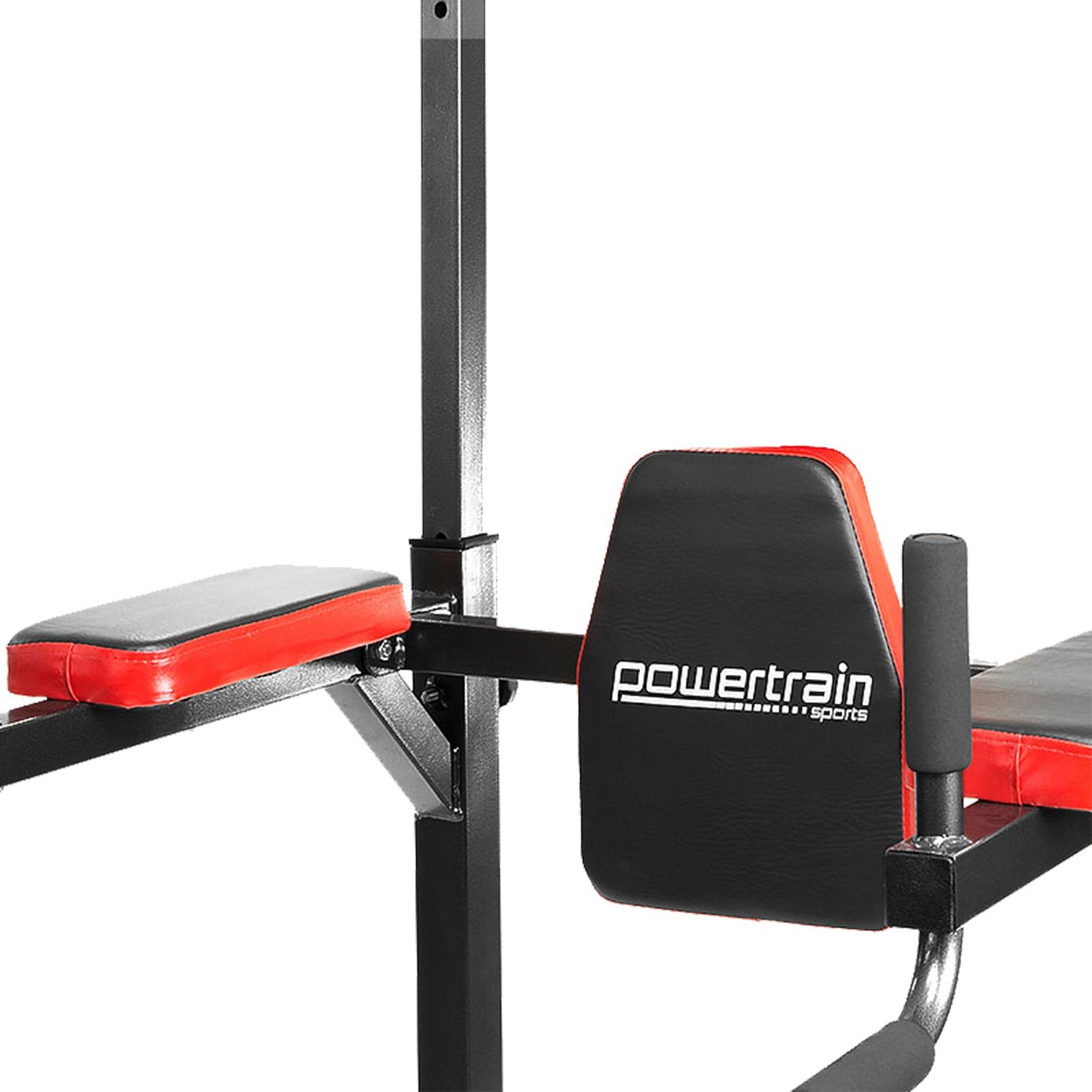 Powertrain Multi Station For Chin Ups Pull Ups And Dips - The Fight Club