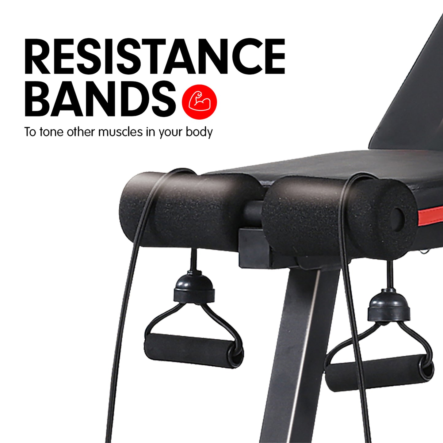 Powertrain Adjustable Incline Decline Exercise Bench Resistance Bands - The Fight Club