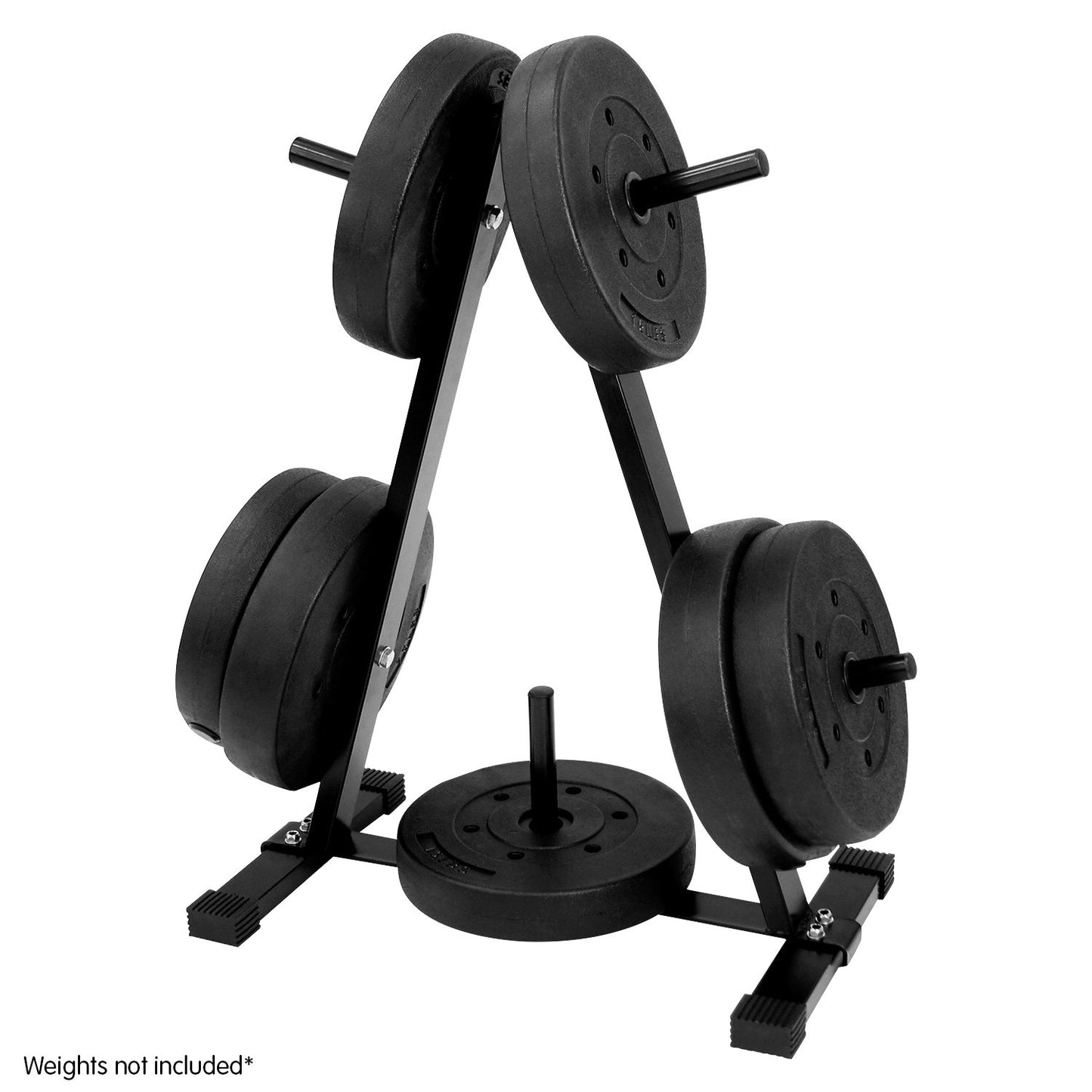 Powertrain Weight Plates Storage Home Gym Rack - The Fight Club