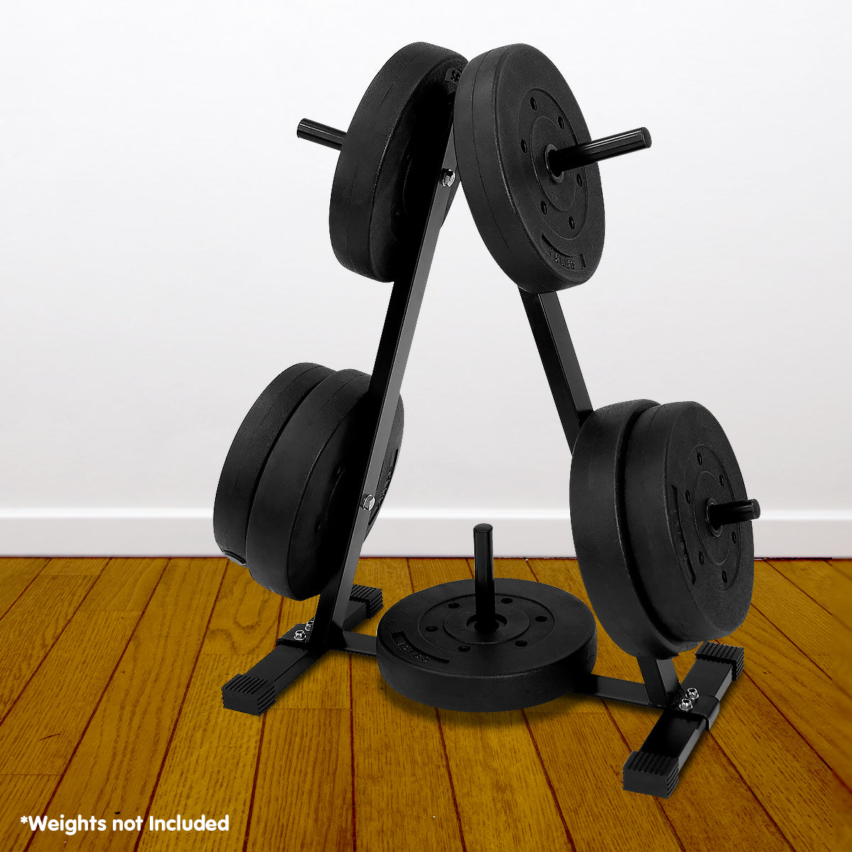 Powertrain Weight Plates Storage Home Gym Rack - The Fight Club