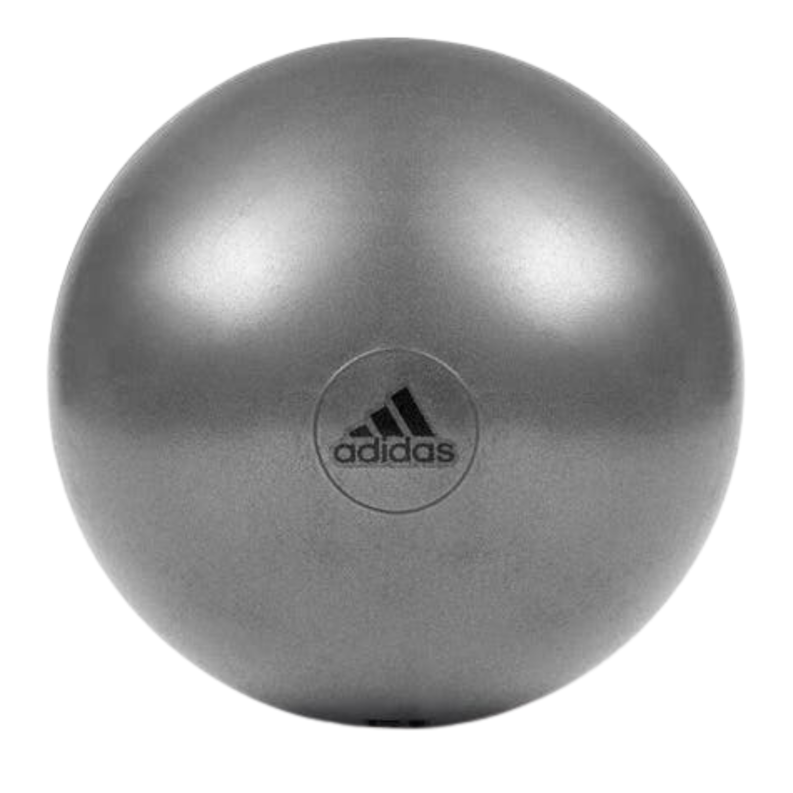 Adidas Gym Ball with Pump Exercise Yoga Fitness Pilates Birthing Training 55cm - The Fight Club