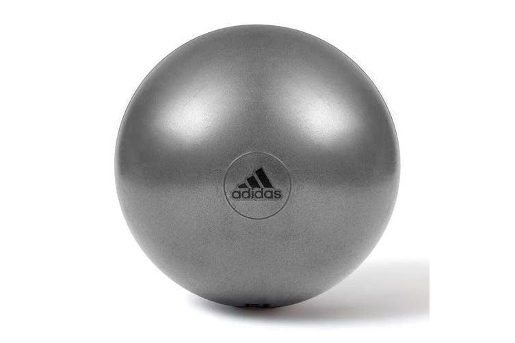 Adidas Gym Ball with Pump Exercise Yoga Fitness Pilates Birthing Training 65cm - The Fight Club