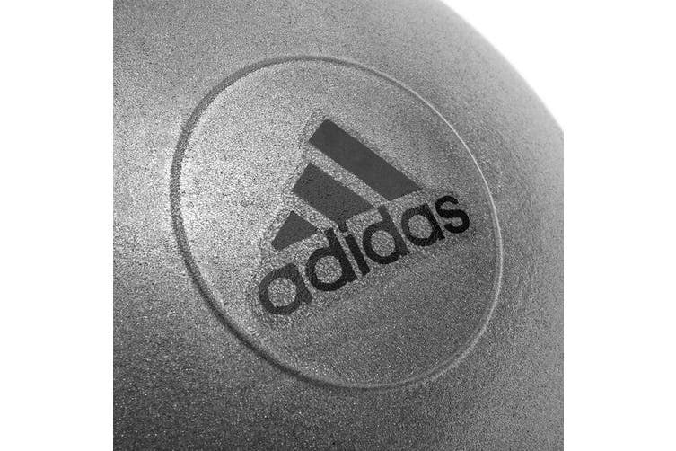 Adidas Gym Ball with Pump Exercise Yoga Fitness Pilates Birthing Training 65cm - The Fight Club